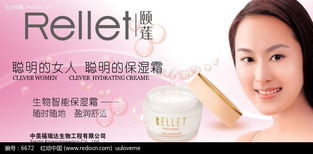 化妝品與日用百貨 現代生活中的美麗與實用之選